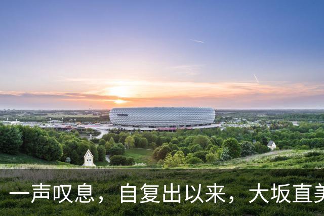 一声叹息，自复出以来，大坂直美屡进巡回赛决赛，屡遭败北
